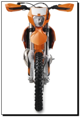 110179 300 EXC Frontal.tif 3170 400