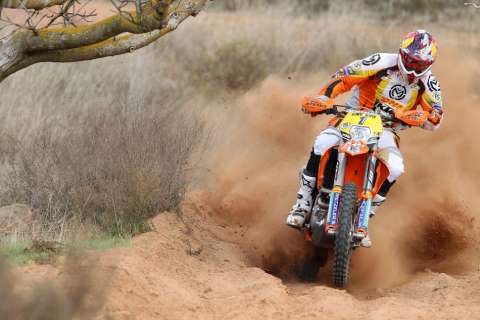 DAVID KNIGHT1 480