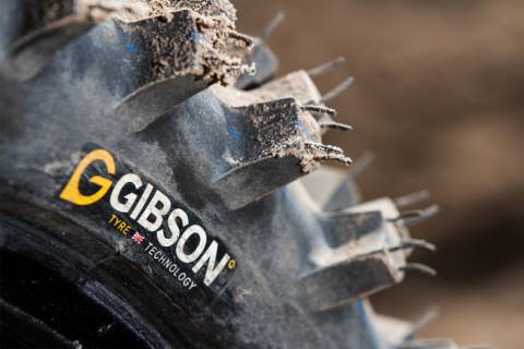 Gibson Aufmacher 480