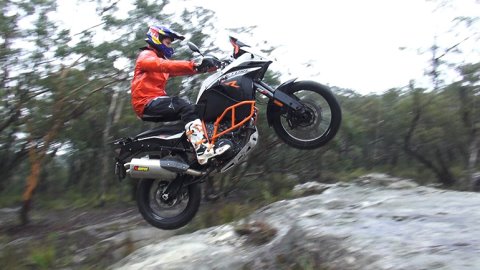 Birch uphill 480