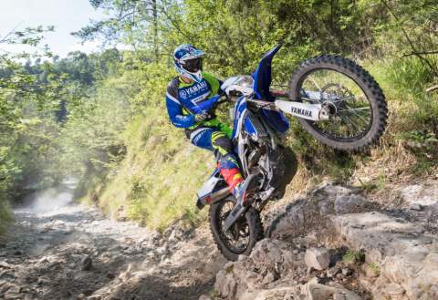 2017 YAM WR250FEGP EU DPBSE ACT 005 52365 480