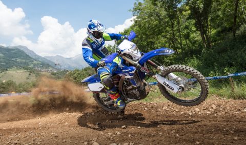 2017 YAM WR250FEGP EU DPBSE ACT 008 52363 480
