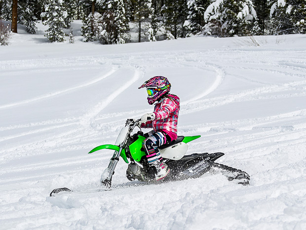 timbersled 1