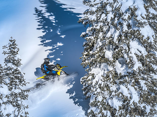 timbersled 13