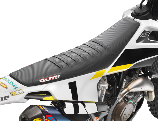 fc 450 rockstar edition 2019 s. christof 12 von 14