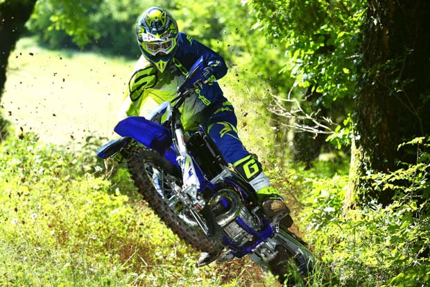 sherco 2019 18