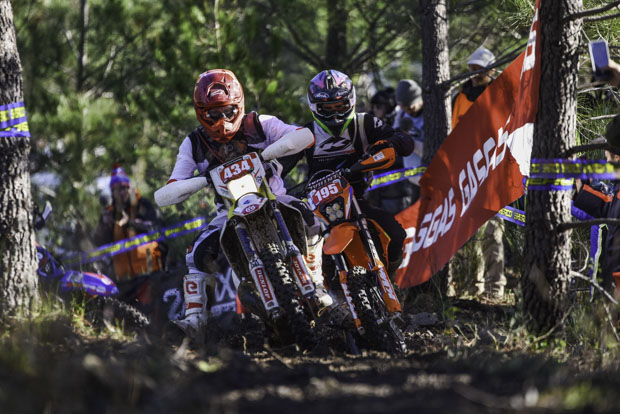 alestrem 2025 alestrem 9