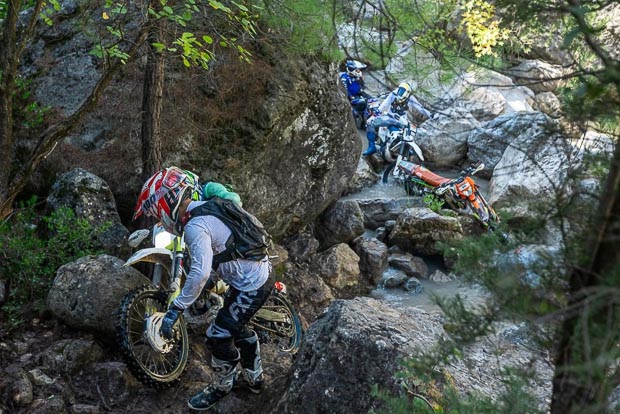 forest race sea to sky 2026 12