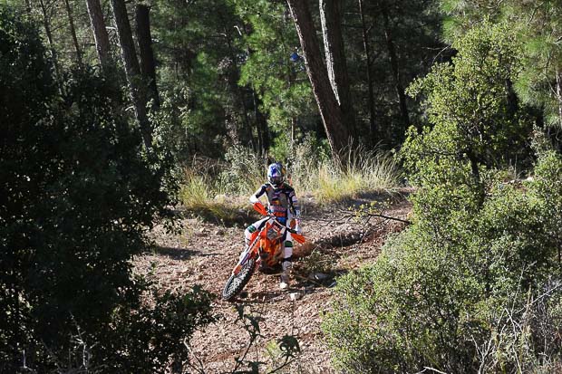 forest race sea to sky 2026 16