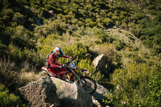 roof of africa preview 2025 1