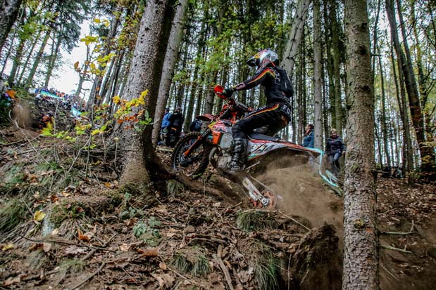 getzenrodeo 2023 vorschau 1