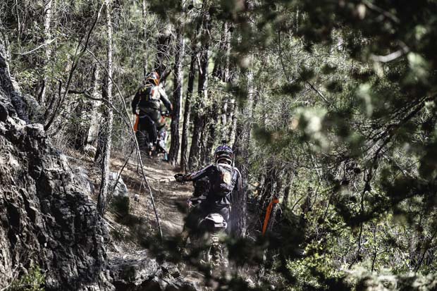 sea to sky forest race 2024 6