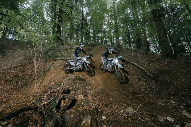 195923 te 300 pro fe 350 pro 2026 action 384