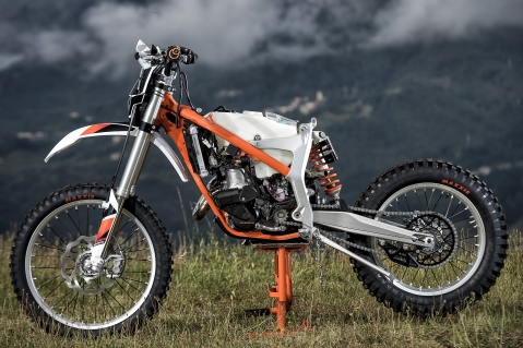 79195 Freeride