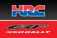 dakar team logo klein