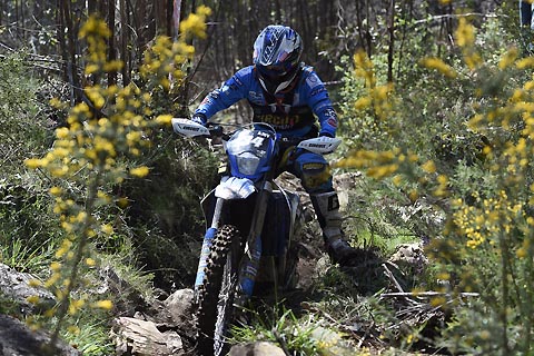 2014-04-wm-portugal2-remes
