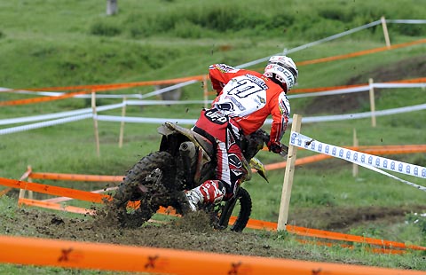 2014-06-em-vorschau-micheluz