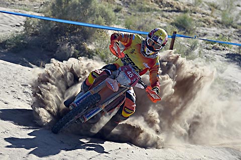 2014-11-isde4-Cervantes