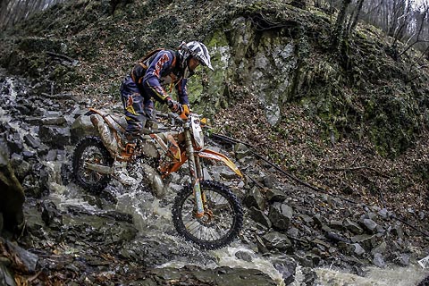 2015 02 hsg2015 scholz