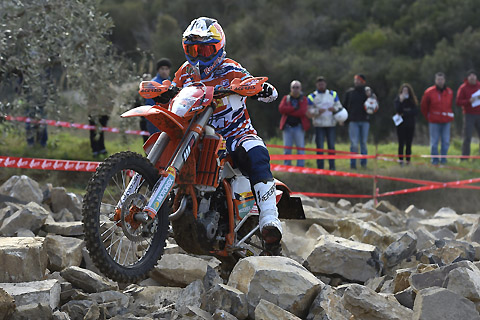 2015 03 italien meo
