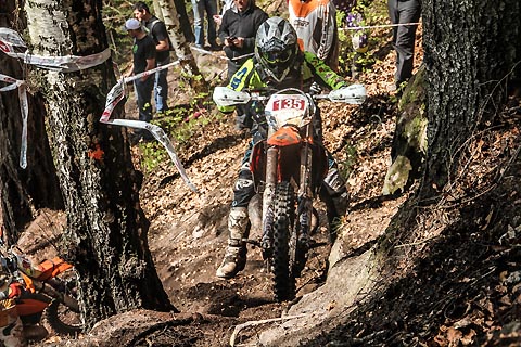 2015 04 teucher