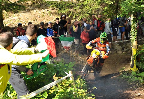 2015 06 wm italien2 phillips kopie