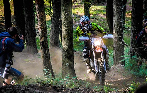 2015 07 rbr teucher1