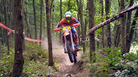2015 07 wm belgien 2 phillips