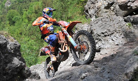 2015 07 wm belgien vorschau meo1