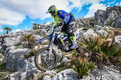 2017 03 italien PHILLIPS 002