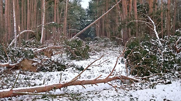 2018 02 10 dahlen