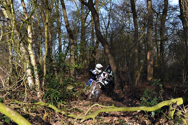 2019 03 05 itterbeck wald