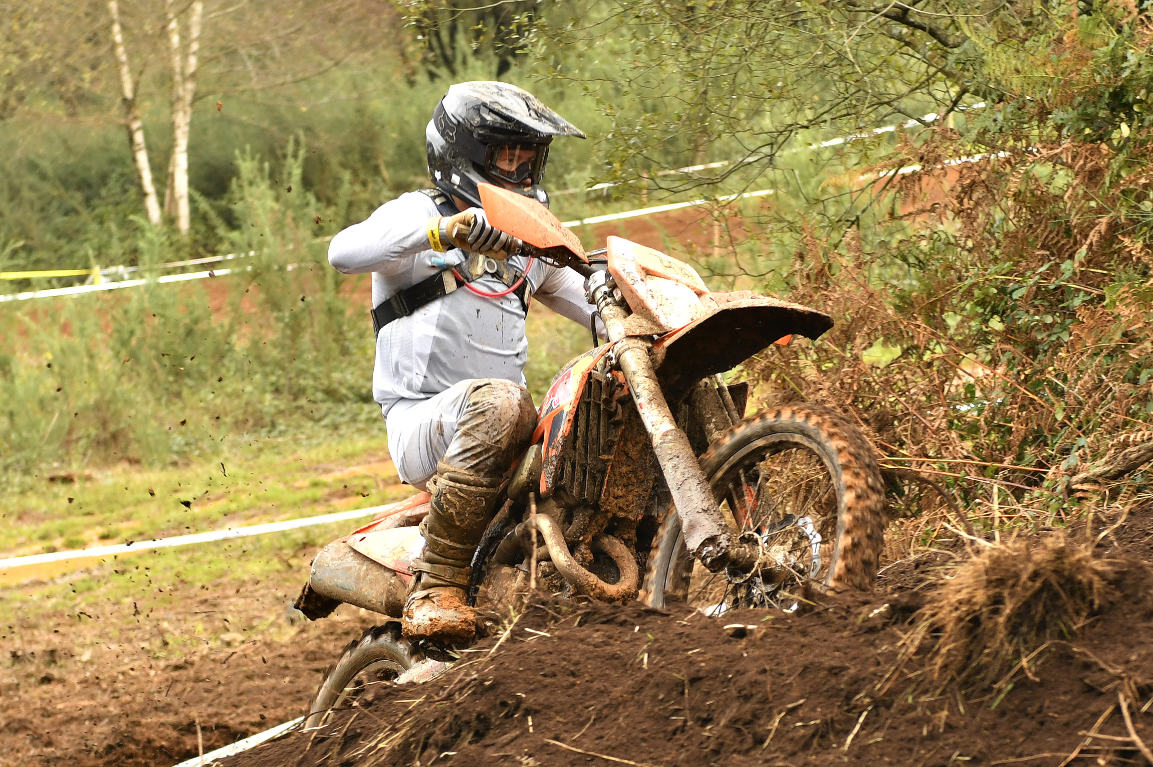 2024 10 15 lettenbichler