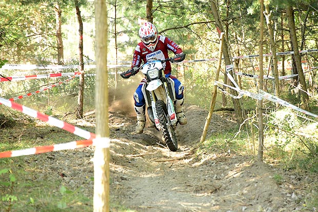 2025 09 25 bäumedsc 2987 002