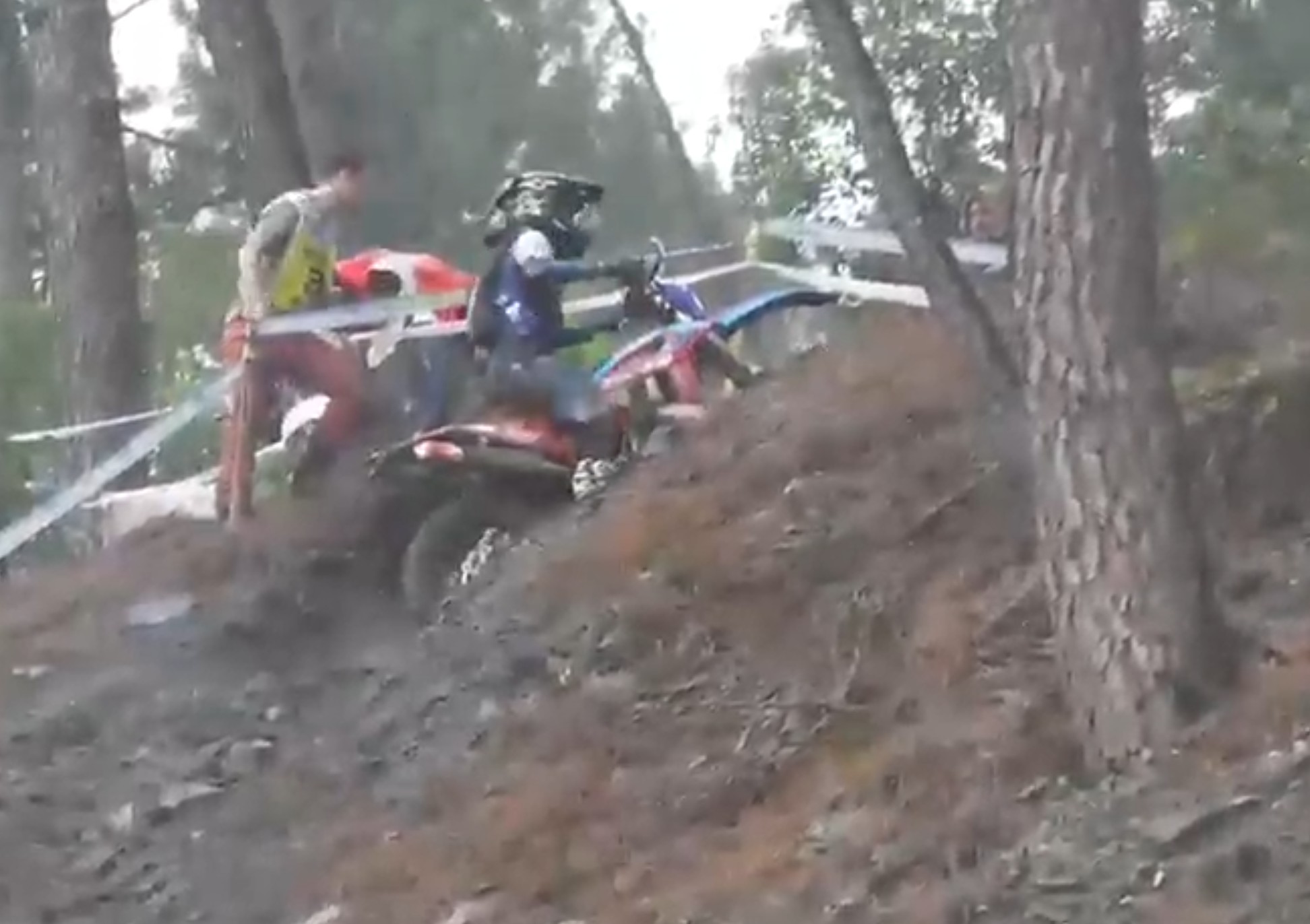 2026 04 19 gomez sandra