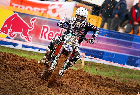 dvz 2014