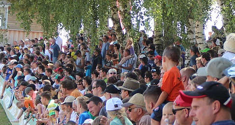 gcc goldbach z 2013