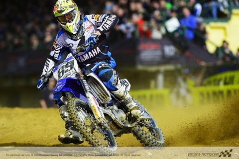 vanHorebeek Montevarchi 2014