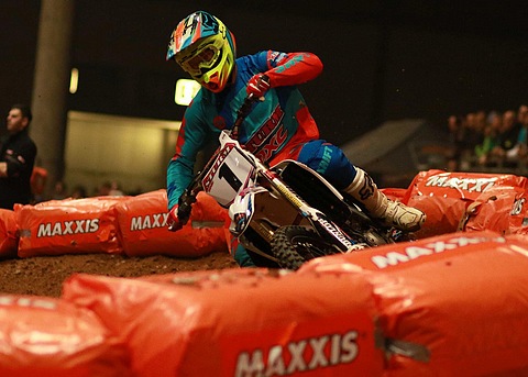 Aranda KoX 2015