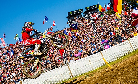 Nagl mxon ernee 2015