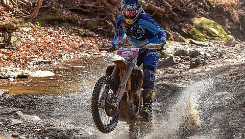 Strang rd13 2015