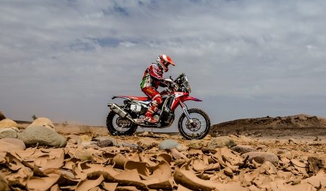 Goncalves 1 Morocco 2016
