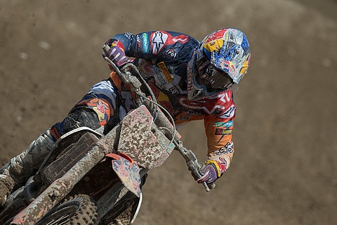 HerlingsMantova 2016