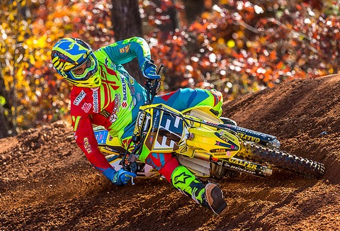 Peick32 jgr 2017