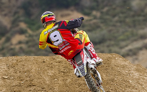 dedycker lo 2016