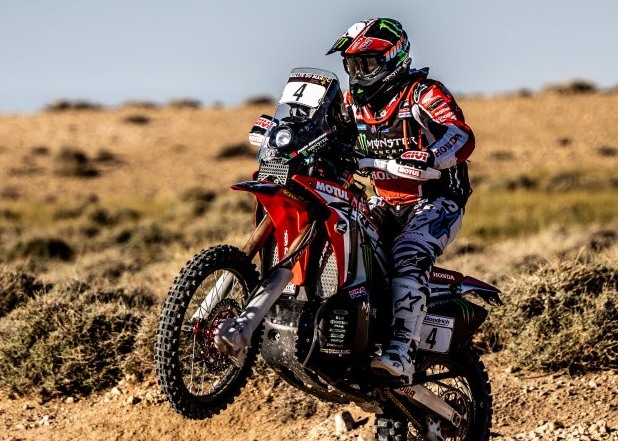 goncalves morocco 2018