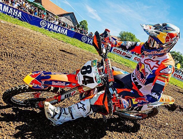herlings möggers 2019