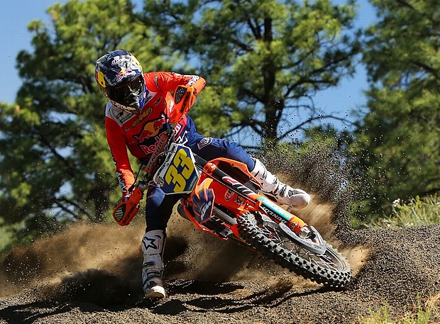 robert 33 2019