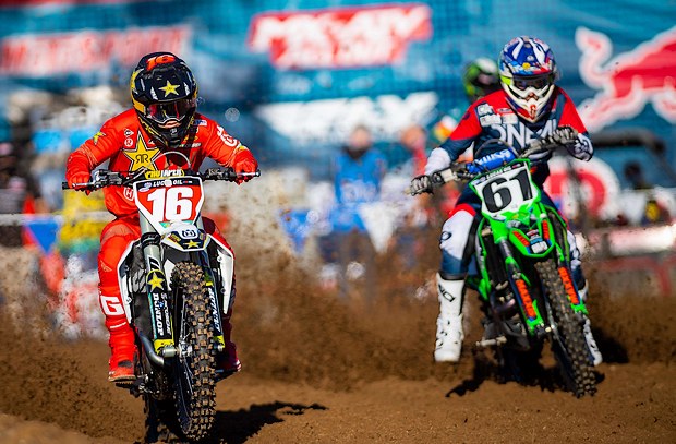 osborne redbud1
