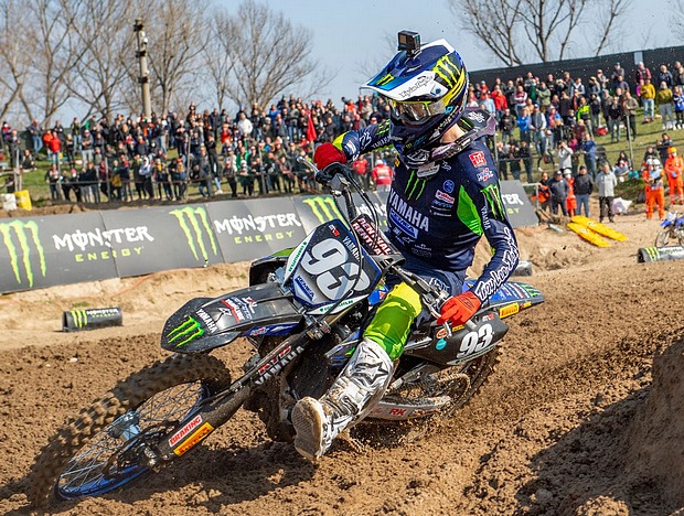 geerts mantova